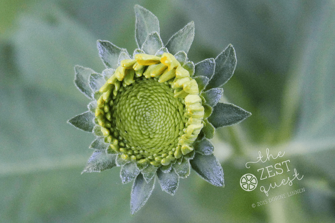 Leave a Reply Cancel Reply