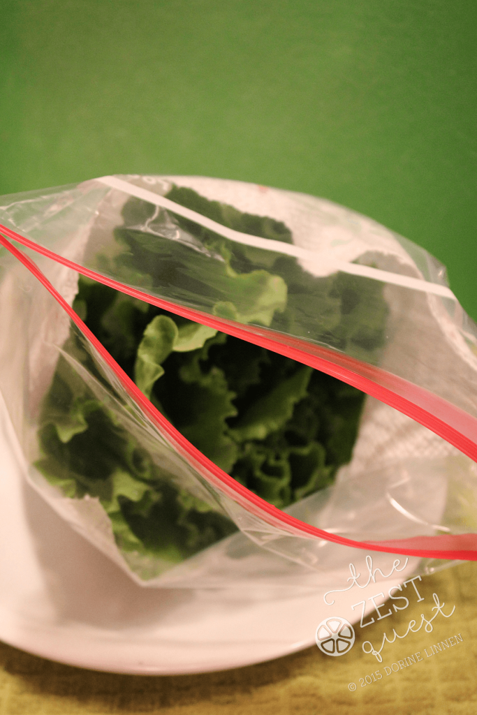Lettuce-cleaned-wrapped-in-paper-towel-and-bagged-for-freshness-2-The-Zest-Quest
