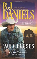 BJ Daniels Wild Horses