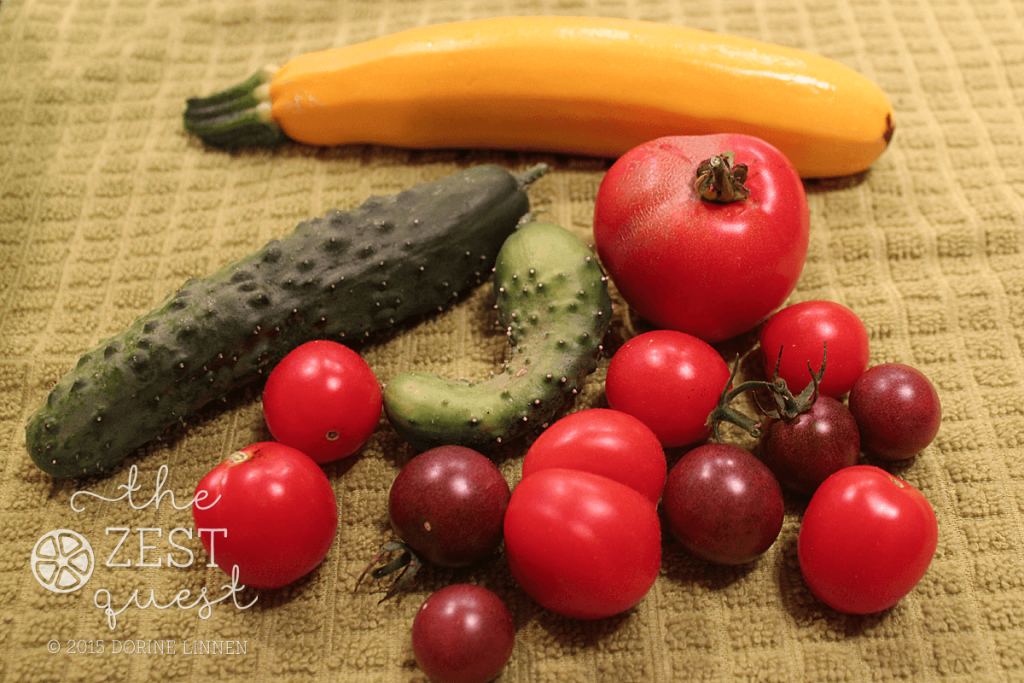 Vegetable-Bounty-Black-Cherry-tomatoes-Better-Boy-Cucumbers-Yellow-Sebring-Zucchini-2-The-Zest-Quest