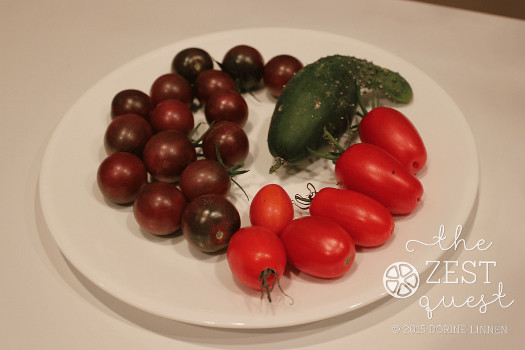 Garden-Harvest-includes-Black-Cherry-and-Juliet-Tomatoes-plus-one-strange-looking-cucumber-2-The-Zest-Quest