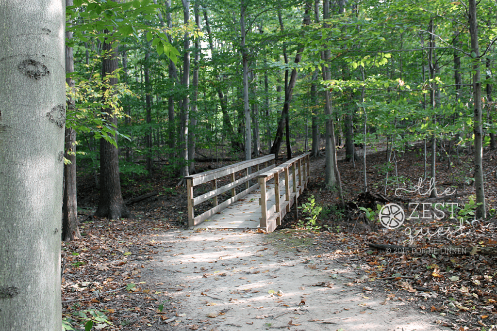 Hiking-Challenge-2015-Ohio-Hike-2-Hudson-Wood-Hollow-Downy-Loop-Path-over-Bridge-2-The-Zest-Quest