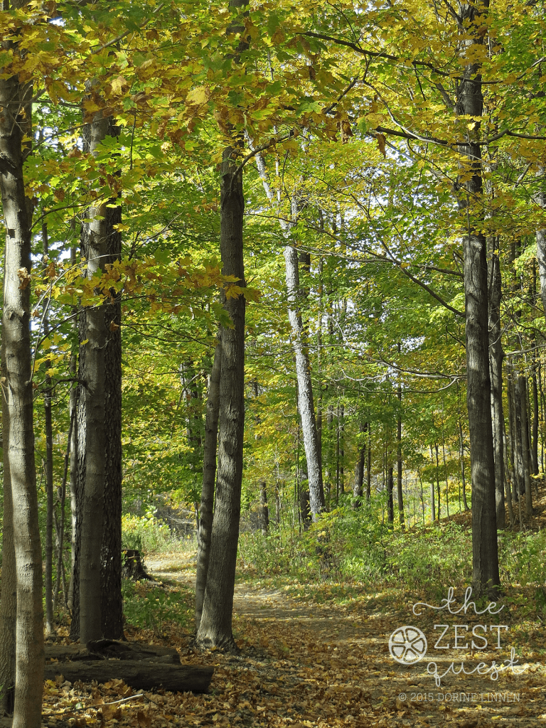 Hiking-Challenge-2015-Ohio-Hike-3-Richfield-Furnace-Run-Old-Mill-Fall-Foliage-2-The-Zest-Quest