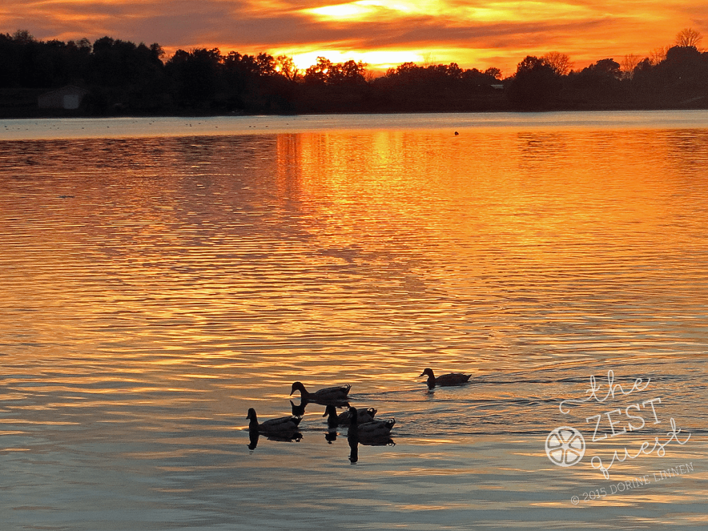 Sunset-at-Springfield-Lake-Ohio-highlights-ducks-out-for-a-paddle-2-The-Zest-Quest