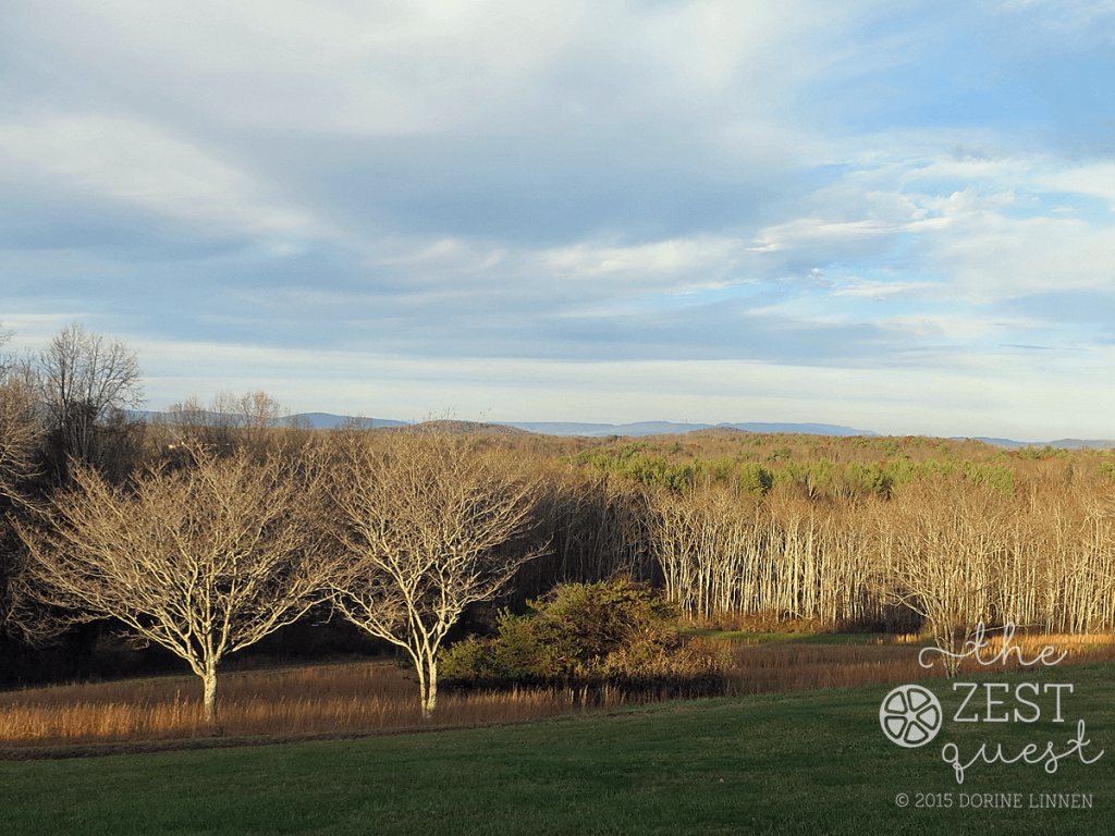 Pipestem-State-Resort-Park-sunset-creates-tree-highlighting-that's-spectacular-2-The-Zest-Quest