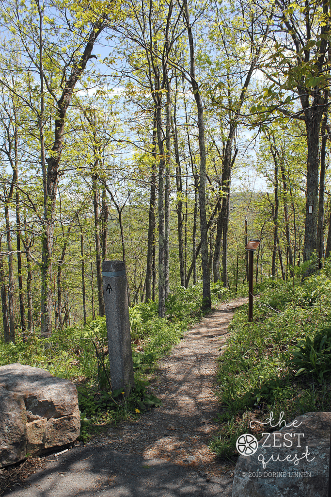 Appalachian-Trail-View-from-Shenandoah-Nat-Park-Virginia-2-The-Zest-Quest-sm