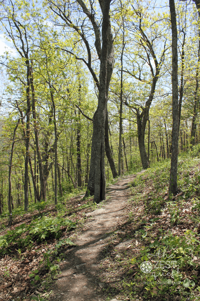 Appalachian-Trail-in-Shenandoah-Nat-Park-Virginia-2-The-Zest-Quest