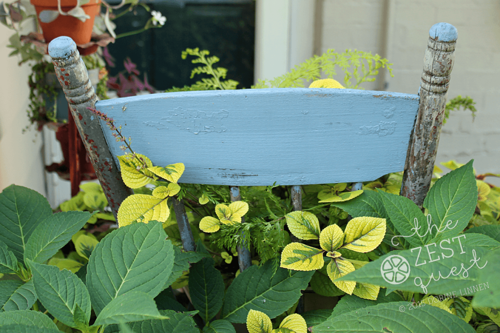 Cottage-Garden-Favorites-Mel-Sept-2015-porchview-2-The-Zest-Quest