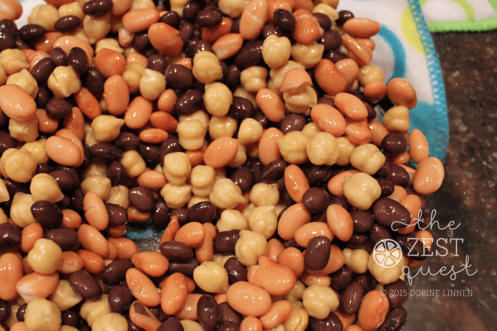 Zesty-Salsa-Bean-Salad-Recipe-includes-a-mixture-of-pinto-garbanzo-and-black-beans-2-The-Zest-Quest