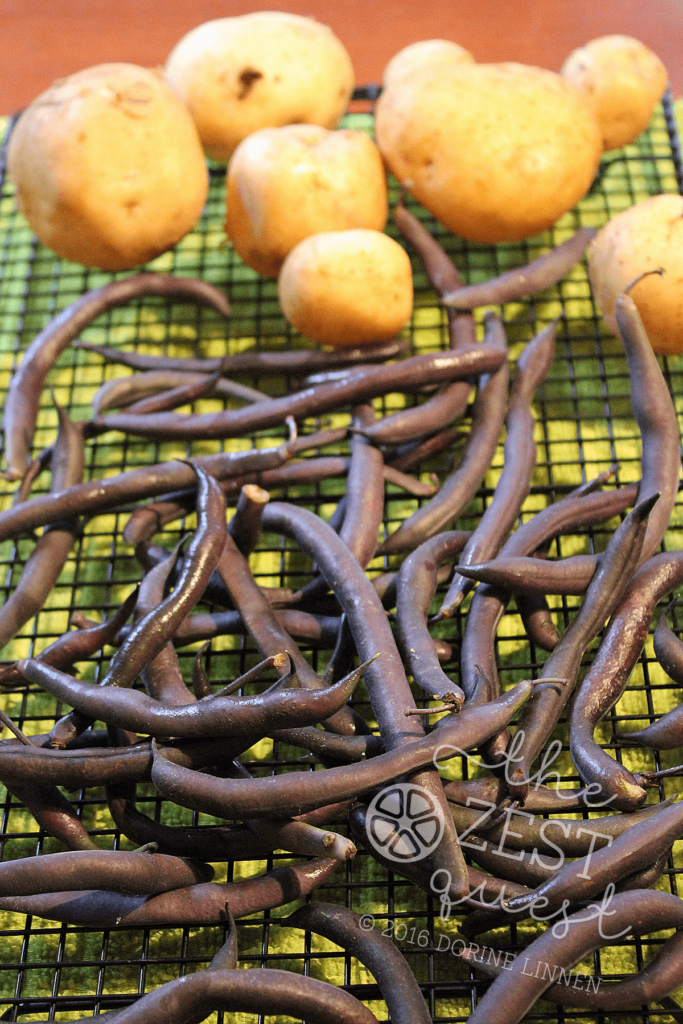 Beans-and-Potatoes-drying-on-cooling-rack-after-a-good-washing-on-Farm-Share-pickup-day-2-The-Zest-Quest