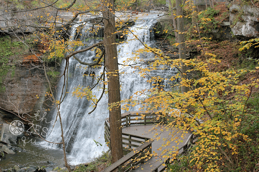 Brandywine Falls in the CVNP is gorgeous with crisp water flow with fall leaf color changing around it.