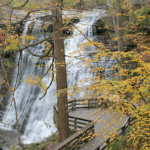 Brandywine Falls in the CVNP is gorgeous with crisp water flow with fall leaf color changing around it.