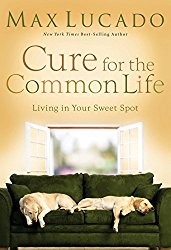 Cure for the Common Life by Max Lucado