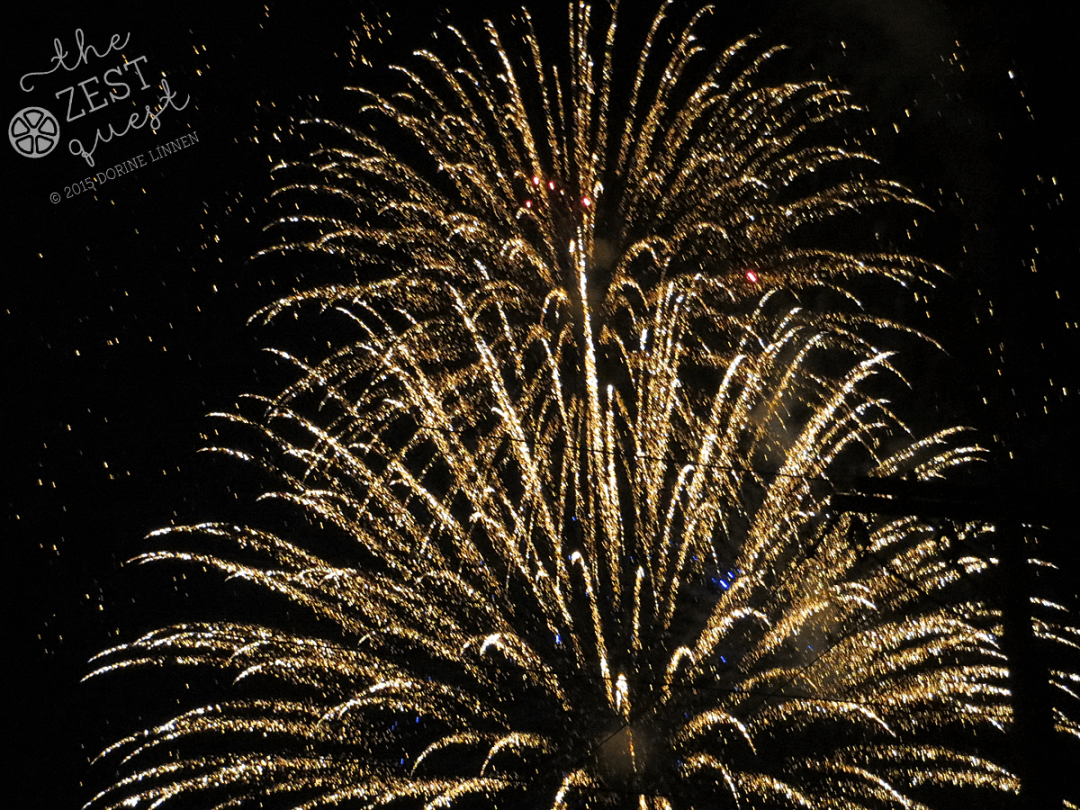 Do you enjoy fireworks or other traditional holiday entertainment on