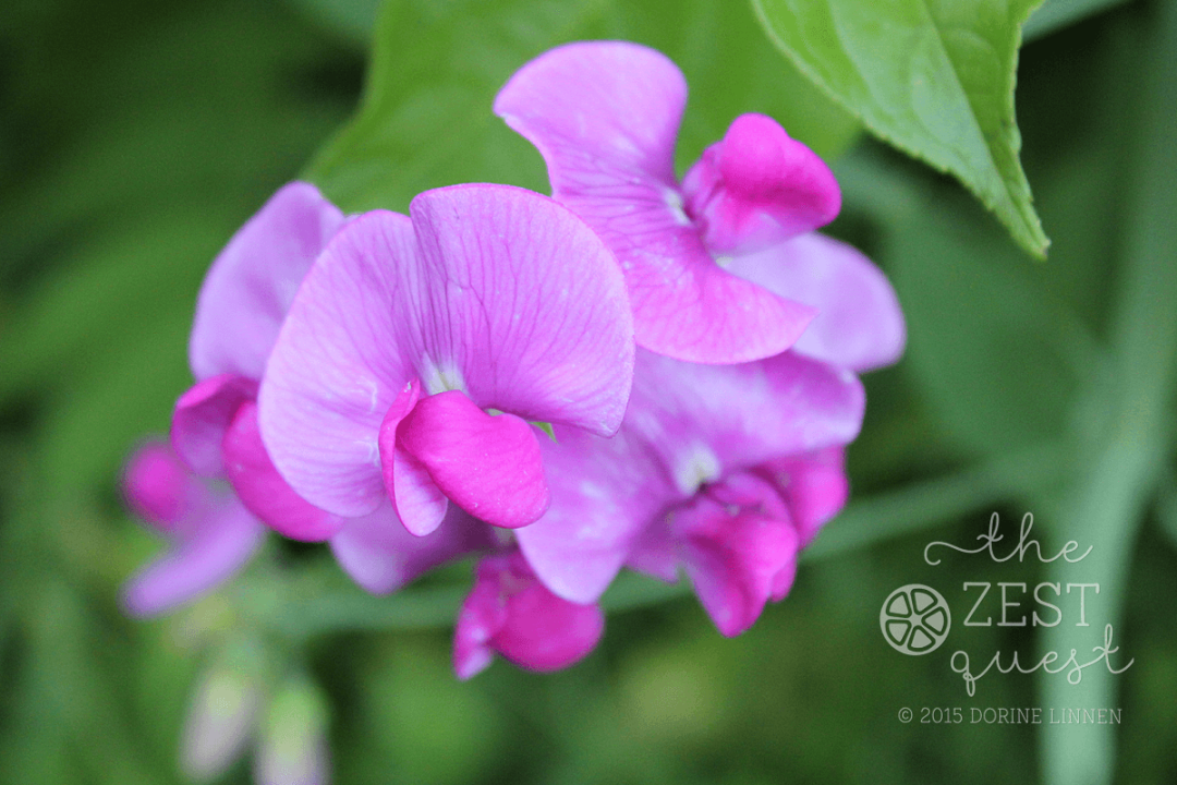 Leave a Reply Cancel Reply